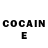 Cocaine Fish Scale Eric Gracia