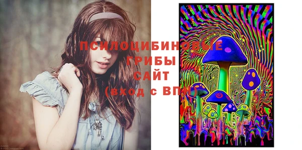 mdpv Балахна