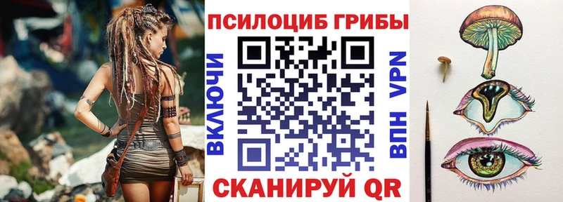 Галлюциногенные грибы Psilocybe  Суровикино 
